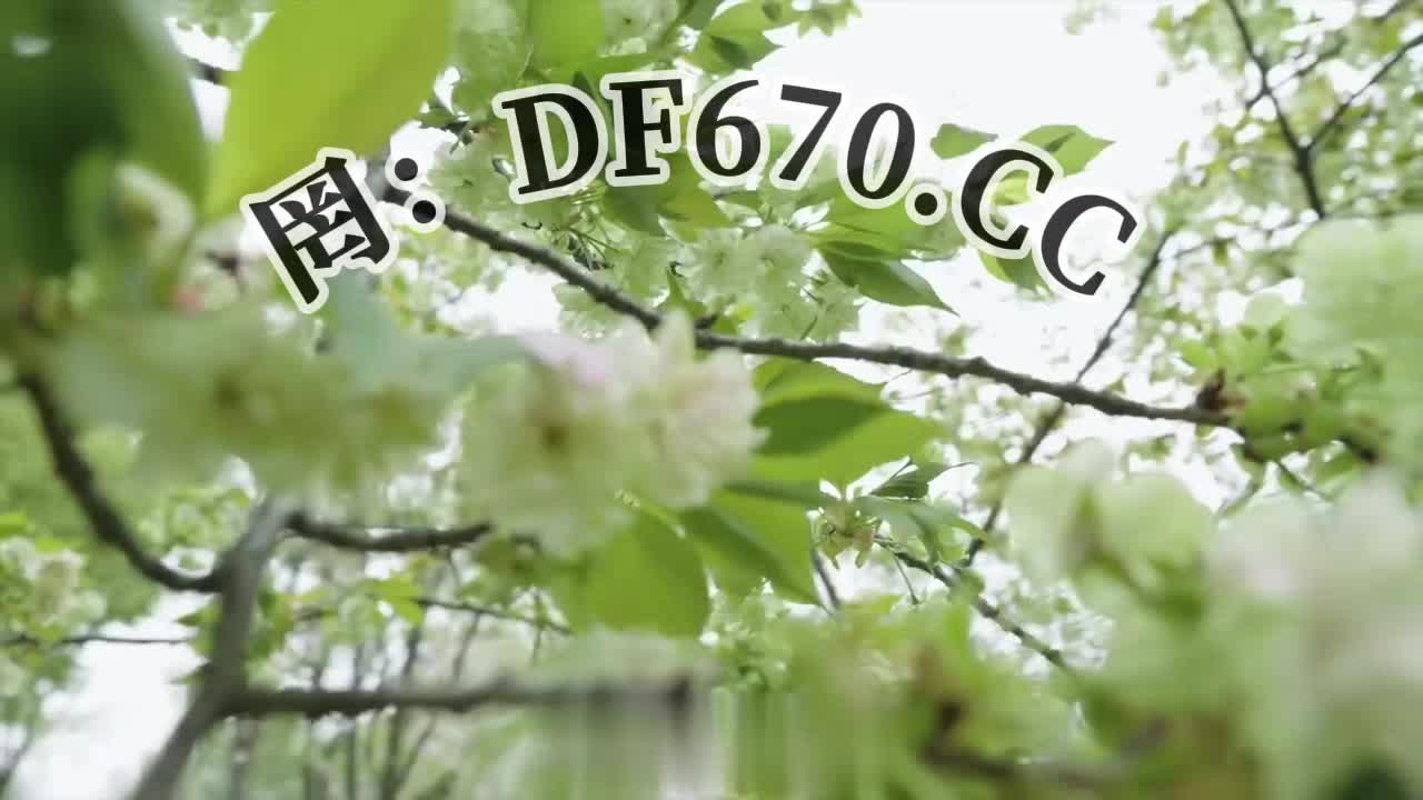 2027第一趋势：快3规律技巧带人回本的高级导师