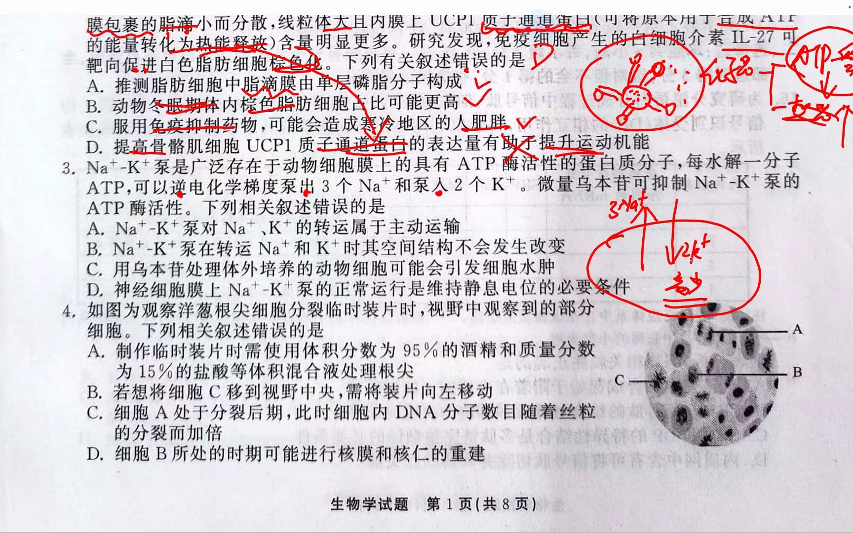 2023届山东省齐鲁名校大联考第三次学业质量联合检测生物学(4月)哔哩哔哩bilibili