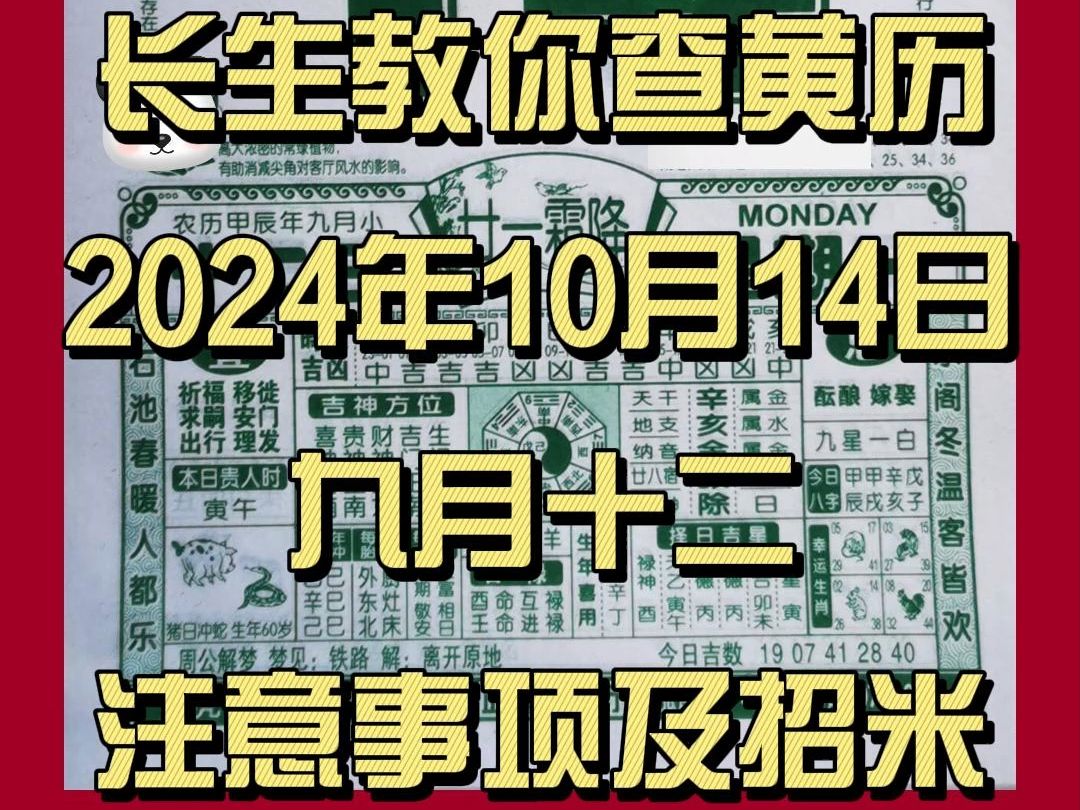 长生教你查黄历|10月14日(九月十二)|解读注意事项,每日穿搭哔哩哔哩bilibili