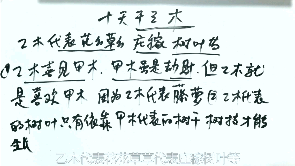 易学八字十天干之乙木 教你如何使用乙木 乙木有哪些特性哔哩哔哩bilibili