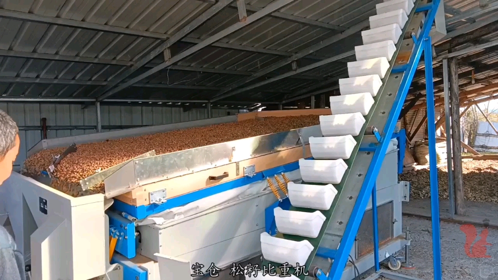 比重机 筛选松籽 2 (比重精选机 松子 比重筛 精选机)河北宝仓机械
