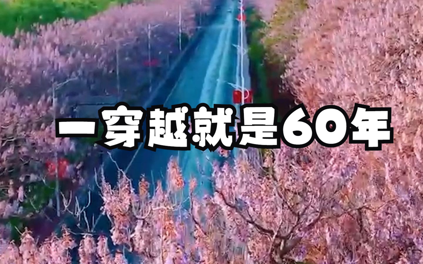 [图]别眨眼！跟我穿越兰考60年！