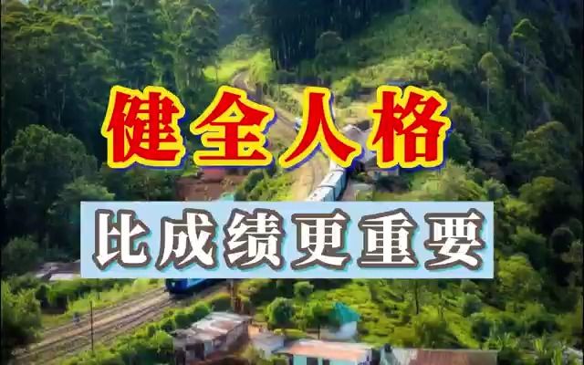 [图]如果你认为考上985或211就是人生巅峰，那就会在学校死命的卷。但如果你知道人生是个长跑，那就很容易明白其实有很多比成绩更重要的东西