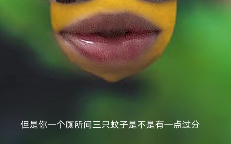 一个厕所间,三只蚊子