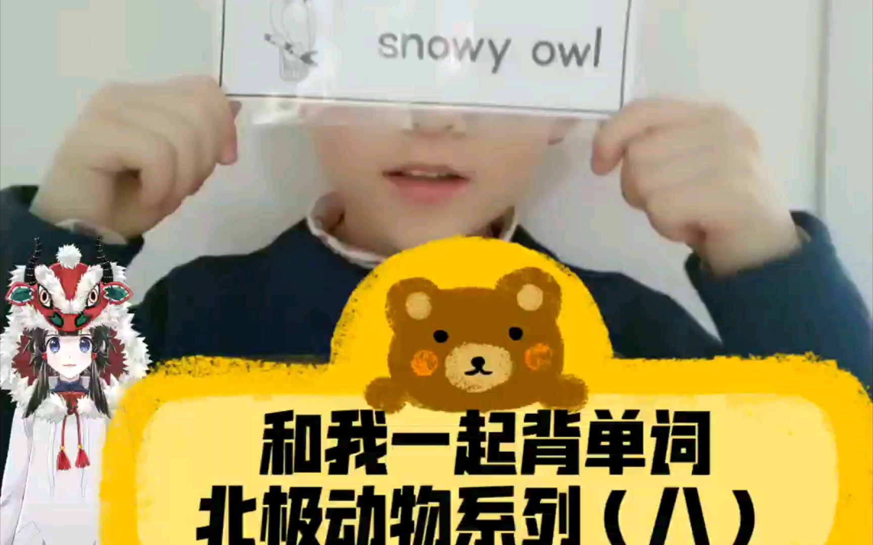 英语单词和我一起背单词北极动物系列八雪猫头鹰
