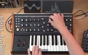 Download Video: Moog Subsequent 25 | 教程 | 小贴士 | 全方位功能解析