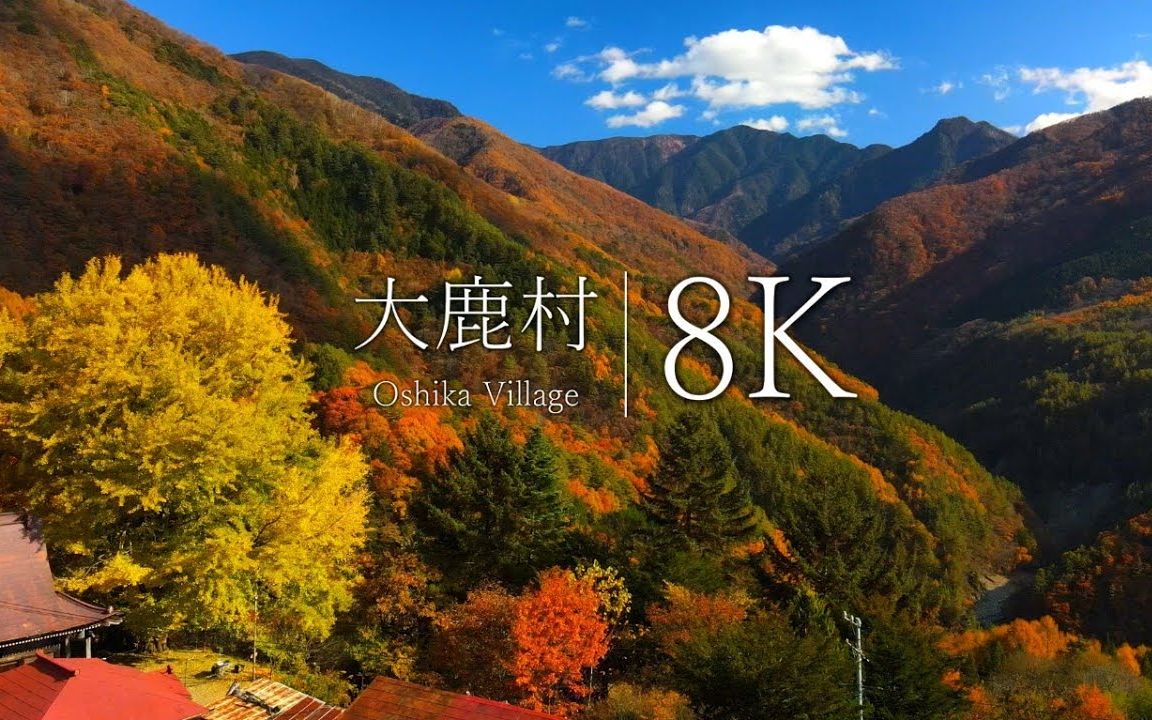 【8K风景】大鹿村日本最美村庄的秋景(解压治愈工作学习背景音清晨叫醒夜晚助眠)哔哩哔哩bilibili