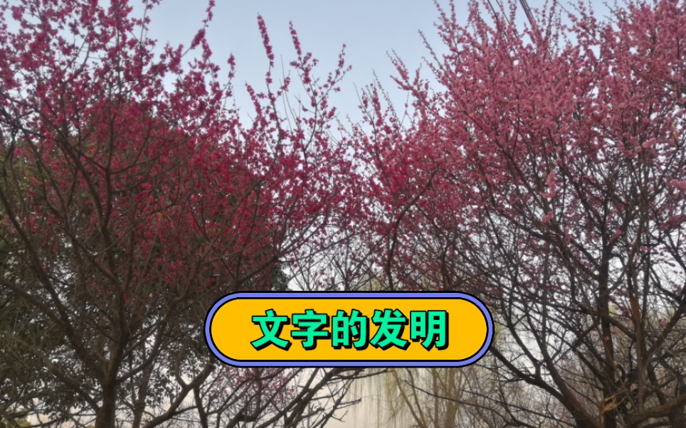 国学常识:文字的发眀?哔哩哔哩bilibili