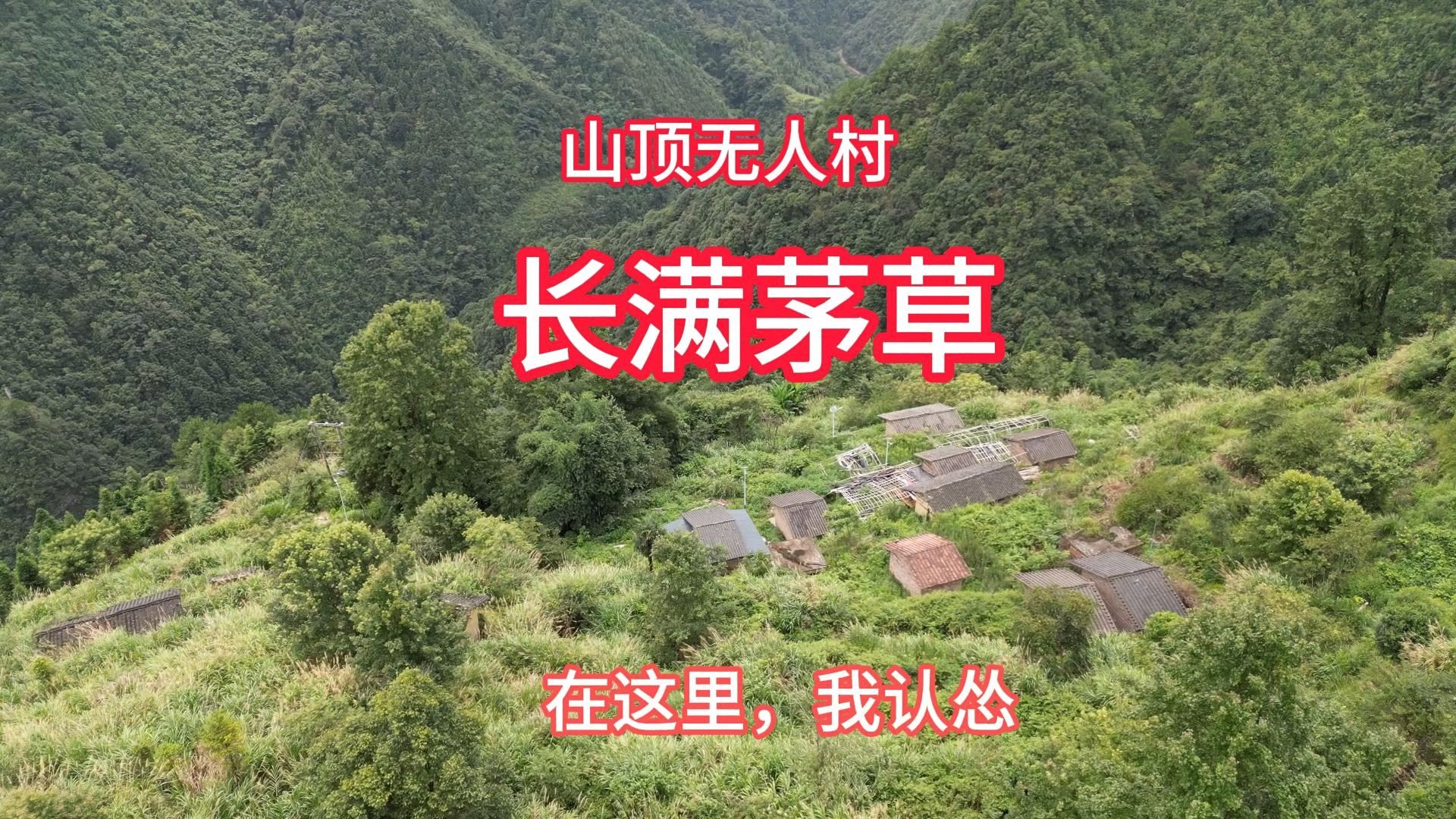 一人前往深山无人村,这次我认怂,村子坐落在山沟深处长满茅草哔哩哔哩bilibili