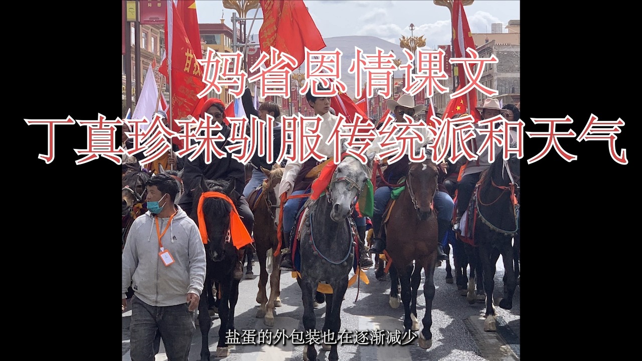 理塘恩情课文《丁真珍珠驯服传统派和天气》