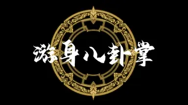 宫派八卦拳-哔哩哔哩_Bilibili