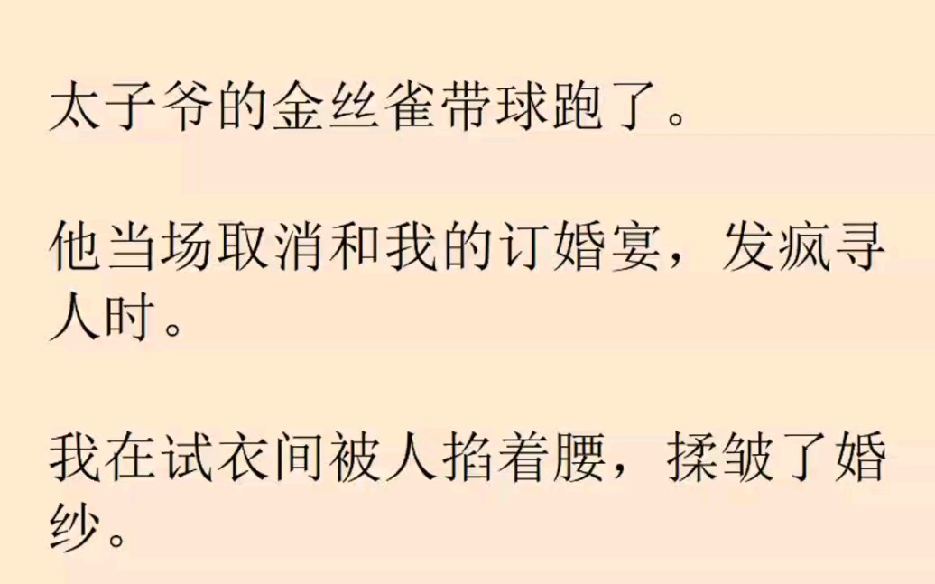 他和我訂婚的前一晚,他養的那隻小金絲雀連夜帶球跑了,訂婚宴剛開場