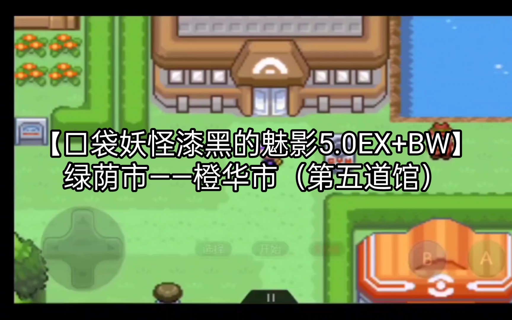 【口袋妖怪漆黑的魅影5.0EX+BW】绿荫市——橙华市(第五道馆)实况解说