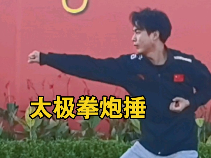 今天练的是陈氏太极拳新架二路(炮捶),二路炮捶以刚为主,蹿蹦跳跃