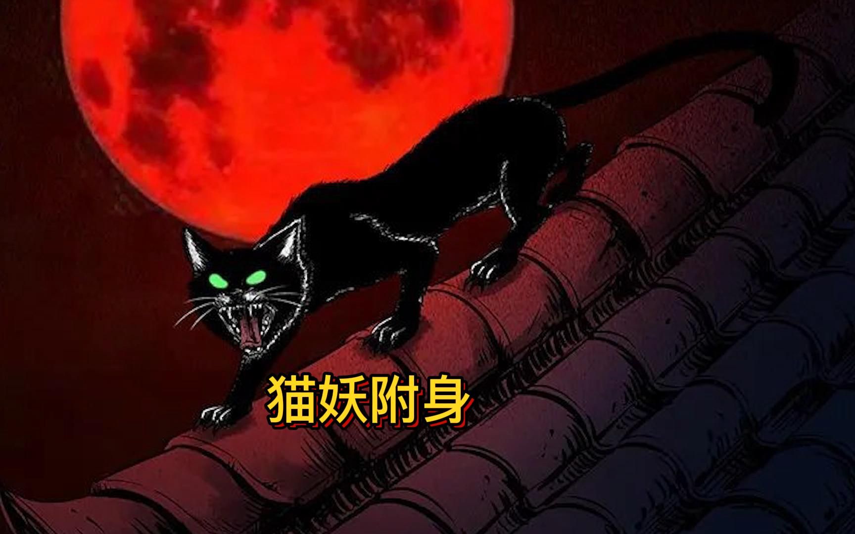 第15集附身报复的猫妖