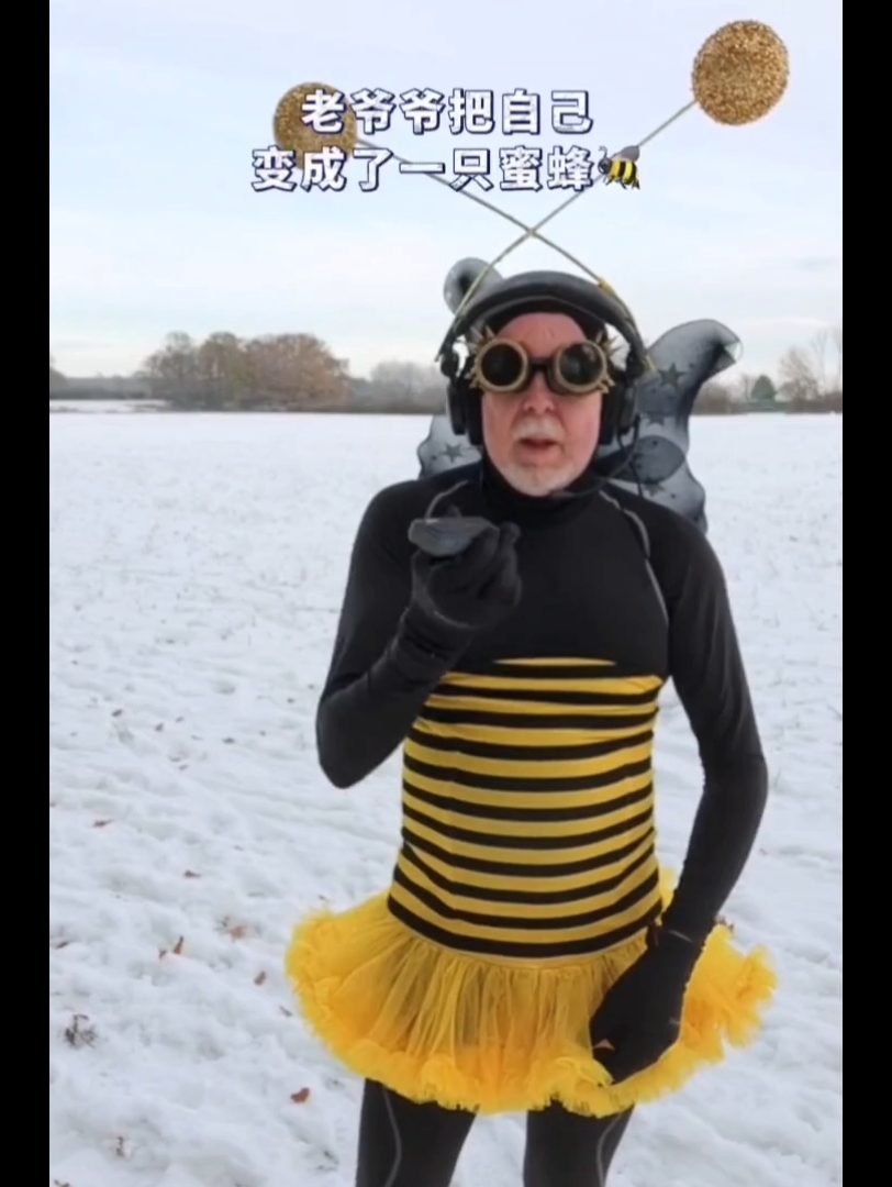 这只蜜蜂有点搞笑是怎么回事