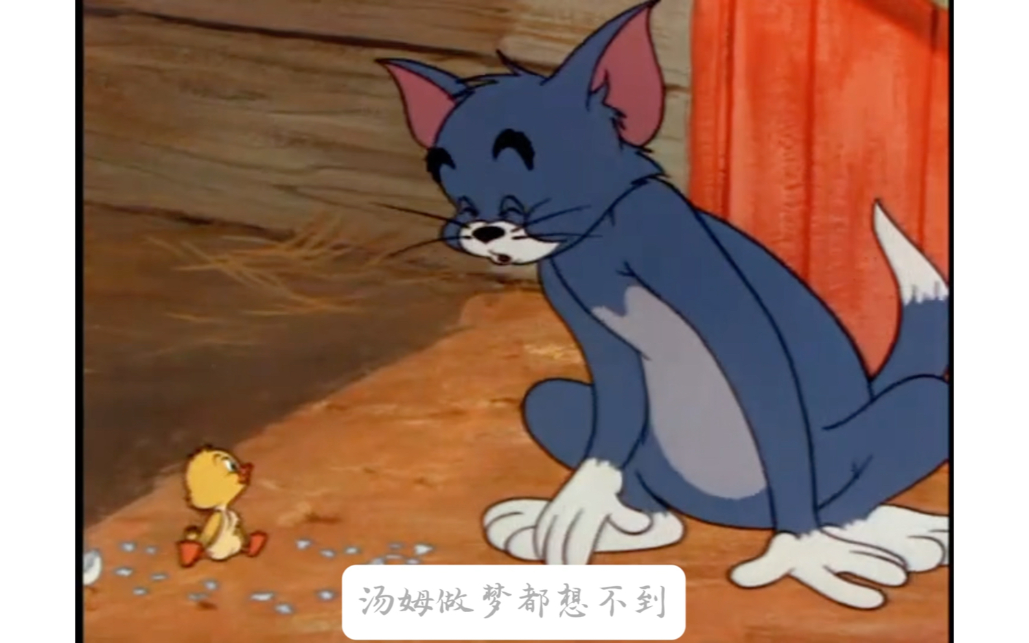 汤姆猫被小黄鸭感化,最后成了小黄鸭的妈妈#猫和老鼠 #搞笑