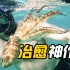 【我的章鱼老师】这只章鱼告诉我们，短暂的一生，爽快地活！