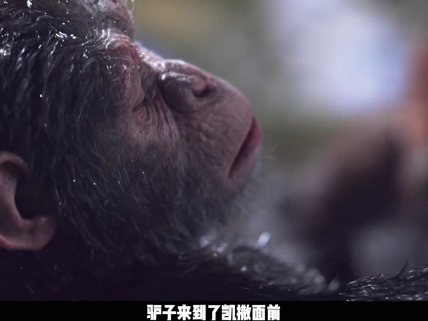 凯撒为了族人的安全只能任由上校蹂躏 #猩球崛起三终极之战 #科幻电影