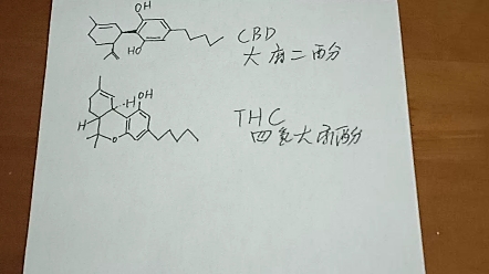 回答粉丝提问——大麻二酚在人体内被单胺氧化酶氧化成四氢大麻酚哔哩哔哩bilibili