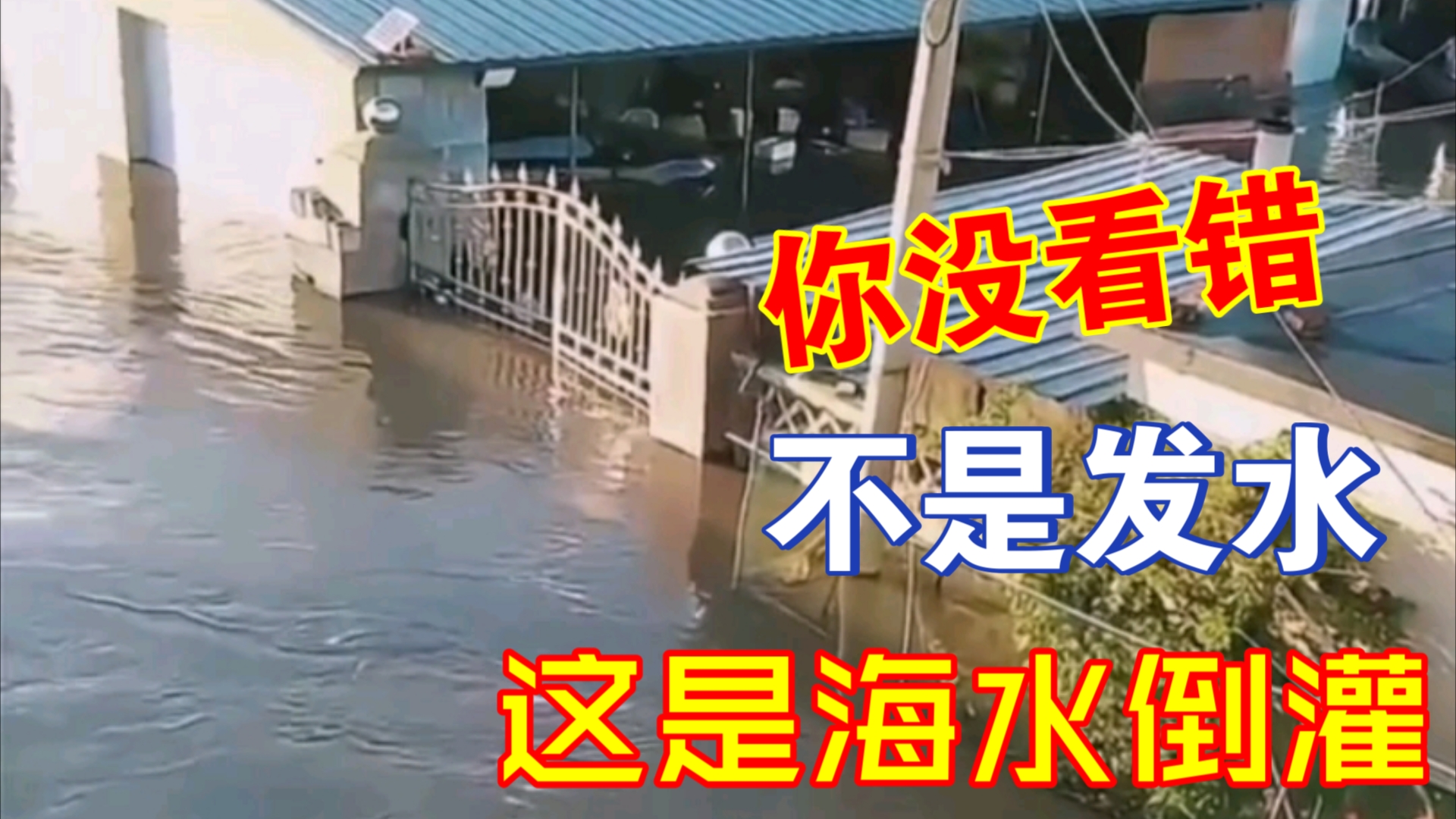 辽宁沿海城市海水倒灌,场面堪比暴雨后的洪水来袭哔哩哔哩bilibili