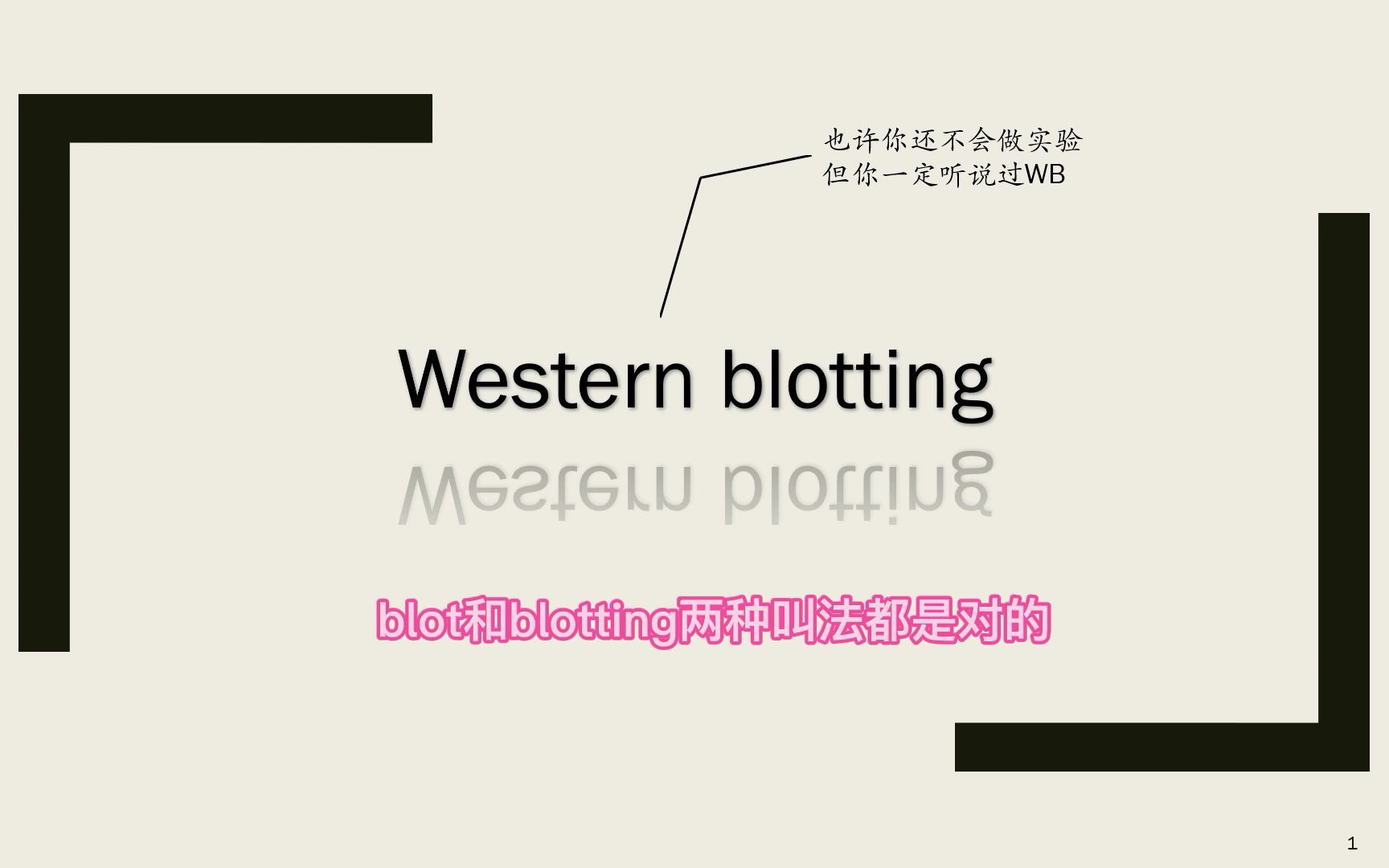 [图]Western blot怎么做呢？WB每一步的目的是什么呢？