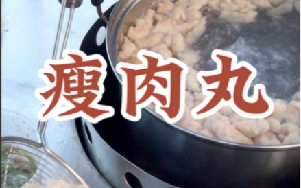 肉多多瘦肉丸!哔哩哔哩bilibili