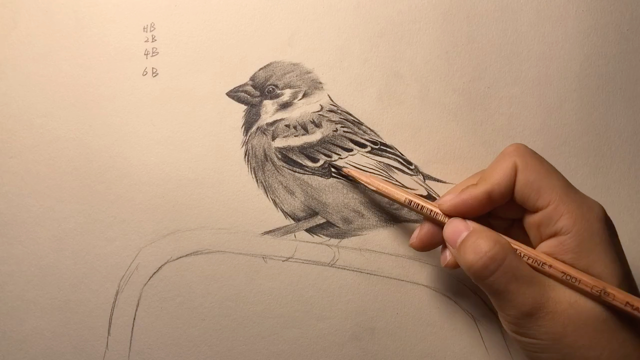 最难画的小鸟怎么画图片