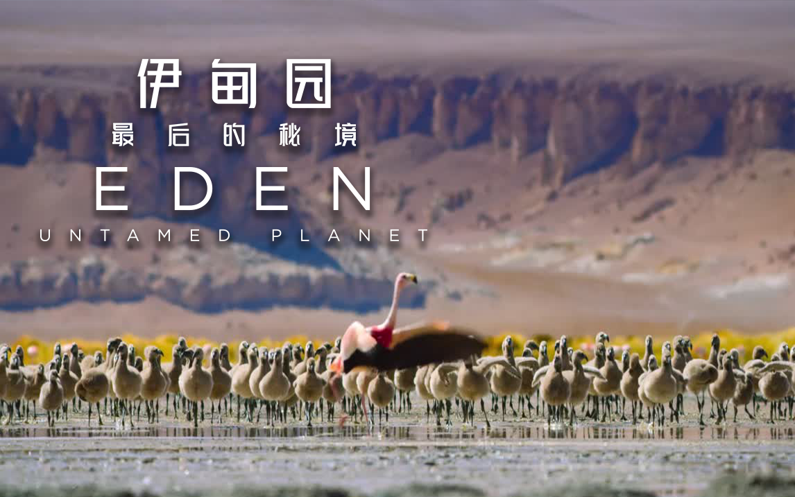 伊甸园:最后的秘境高能混剪2-纪录片-全集-高清独家在线观看-bilibili