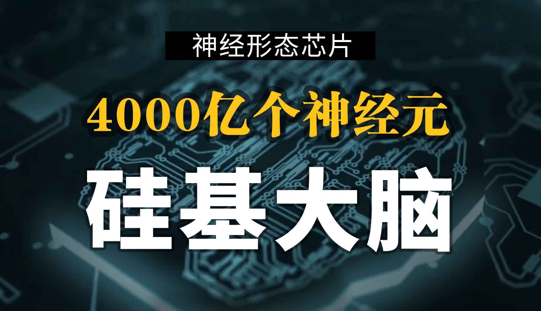 功耗相差10000倍,类脑计算是啥?【硬核揭秘】神经形态芯片【类脑计算系列第2期】哔哩哔哩bilibili