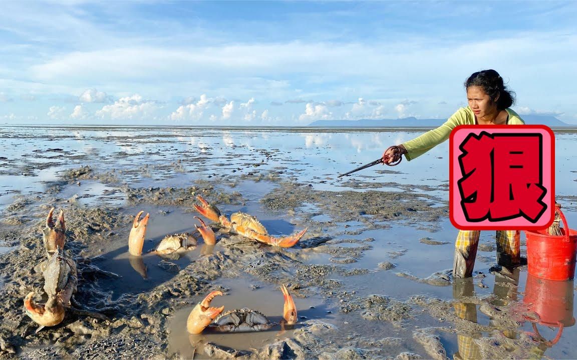 活动作品柬埔寨靓女头顶烈日赶海捉蟹撞见巨大猛货