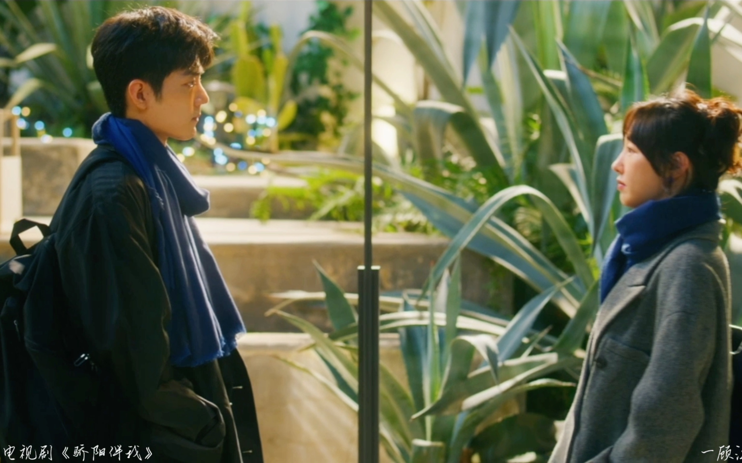 年下紧追不舍的恋爱就是这么得瑟,骄阳伴我