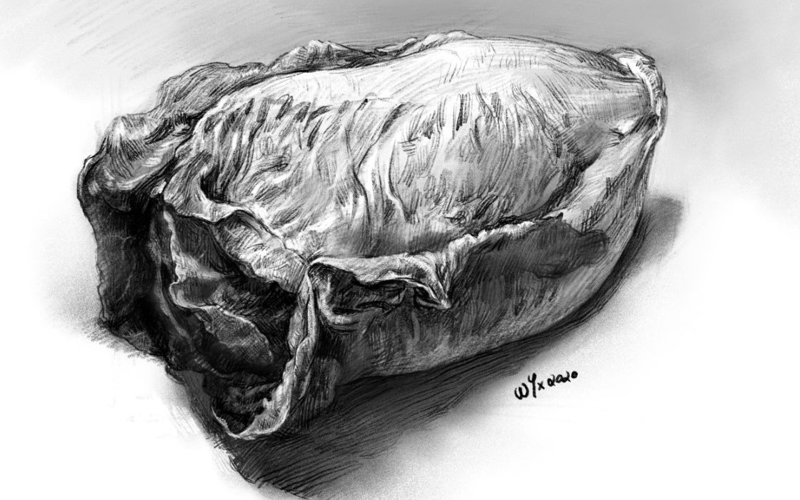 【procreate板绘过程】ipad pro画小白菜单体静物素描,复杂静物的简单