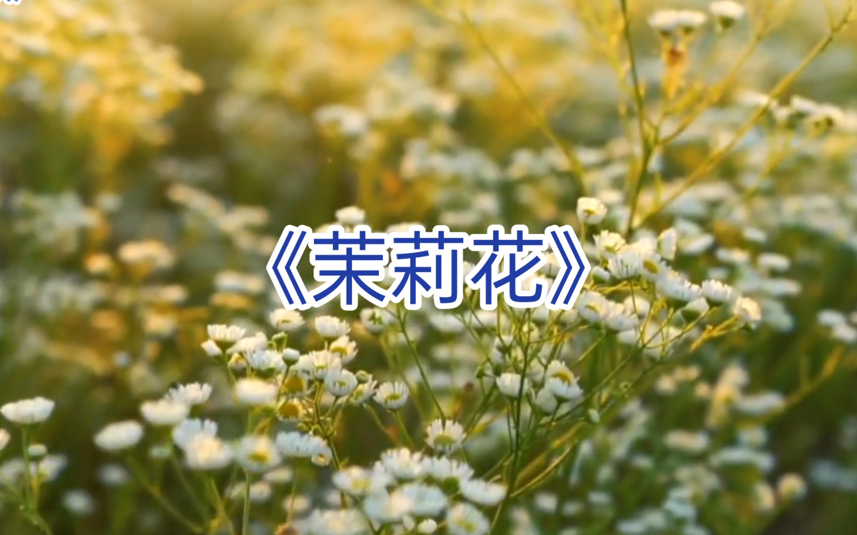 《茉莉花》经典名曲 悠扬旋律哔哩哔哩bilibili