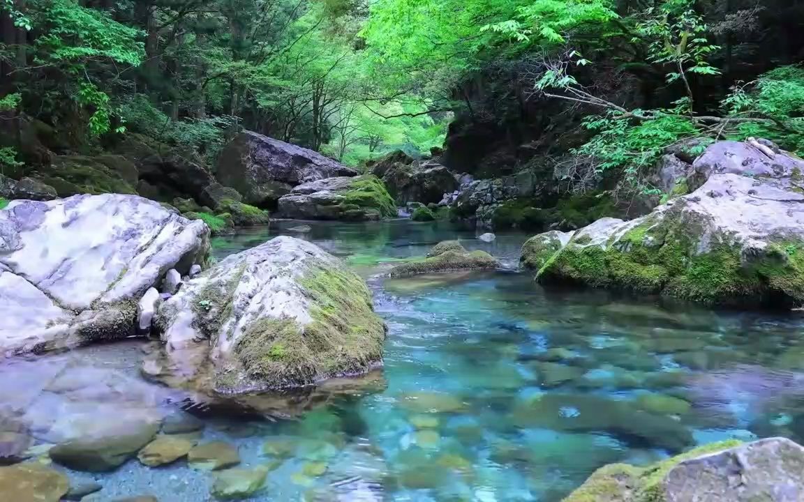 [图]小溪潺潺、泉水叮咚、树叶沙沙，阳光下溪水静静地流淌，清澈见底，让我想起我心爱的故乡！