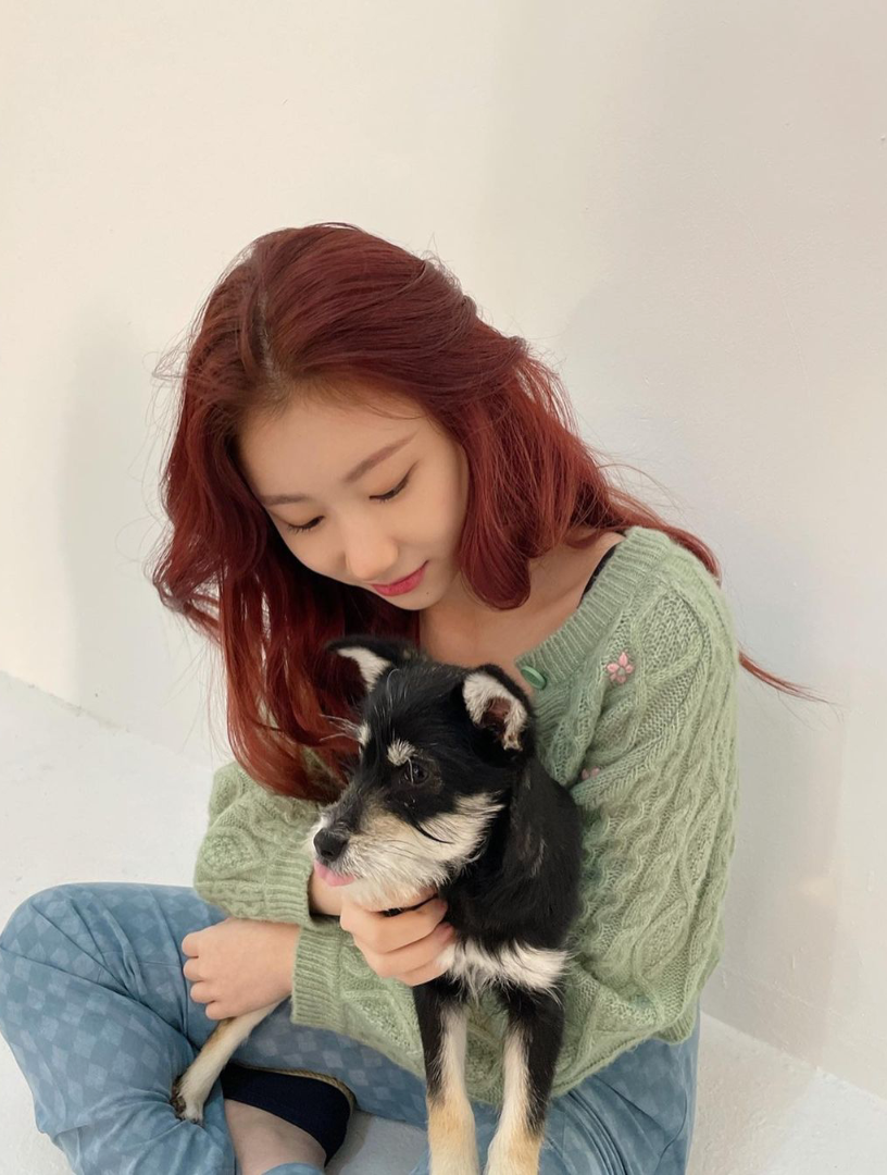 又纯又欲有灵气 这种颜get不到太可惜了itzy李彩玲ins更新