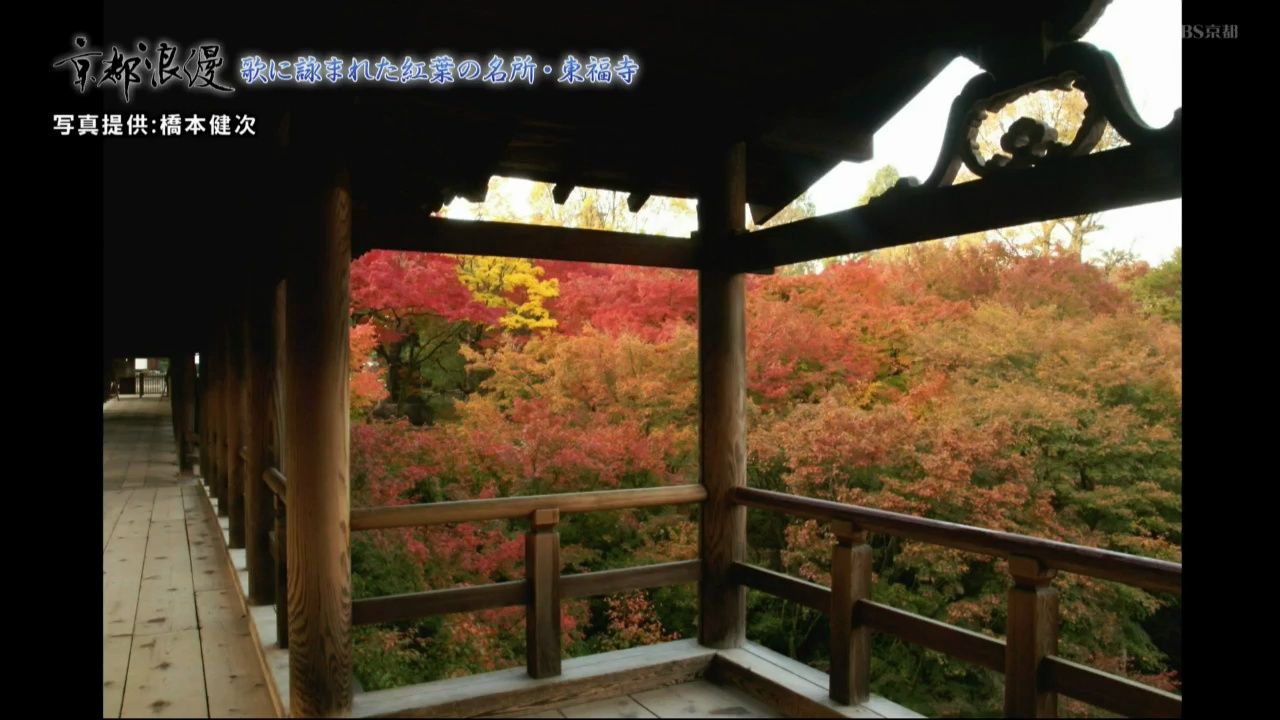 [图]京都浪漫 悠久の物語「歌で巡る京の秋景色〜渡月橋・二尊院・東福寺・清閑寺〜