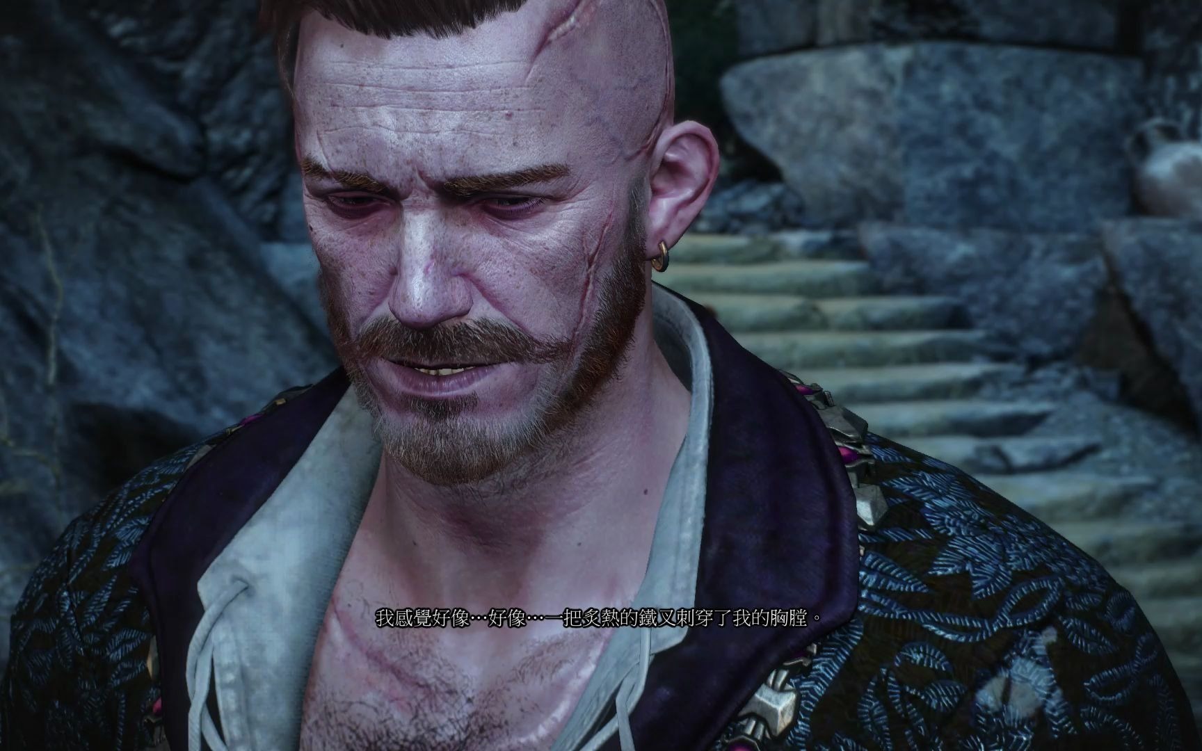 巫师三石之心结局2