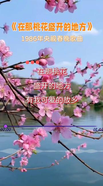 在那桃花盛开的地方歌曲(在那桃花盛开的地方歌曲大全)