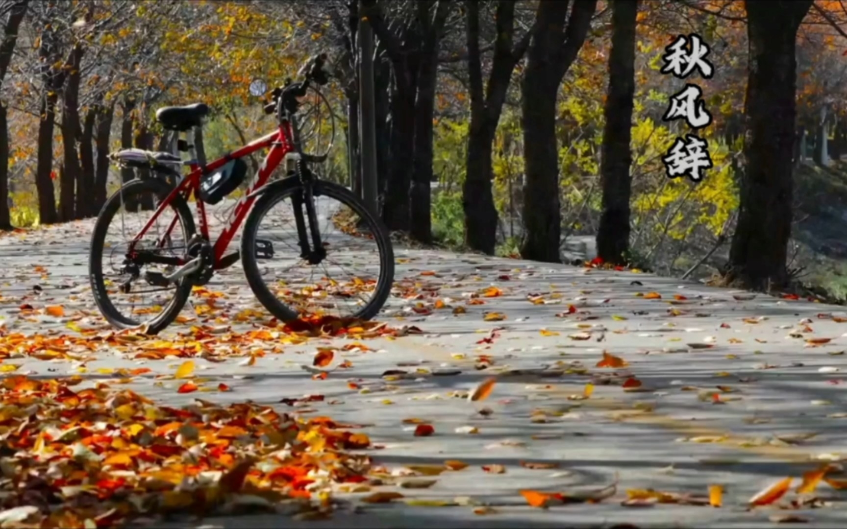 秋风,思念_哔哩哔哩_bilibili