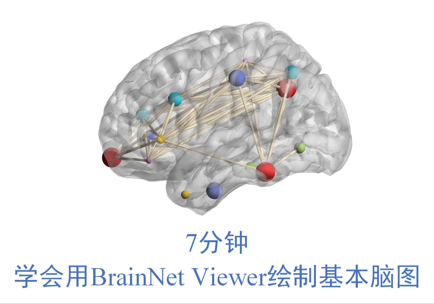 7分钟学会用BrainNet Viewer绘制基本脑图哔哩哔哩bilibili