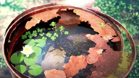 动态壁纸 ドラム水槽 哔哩哔哩