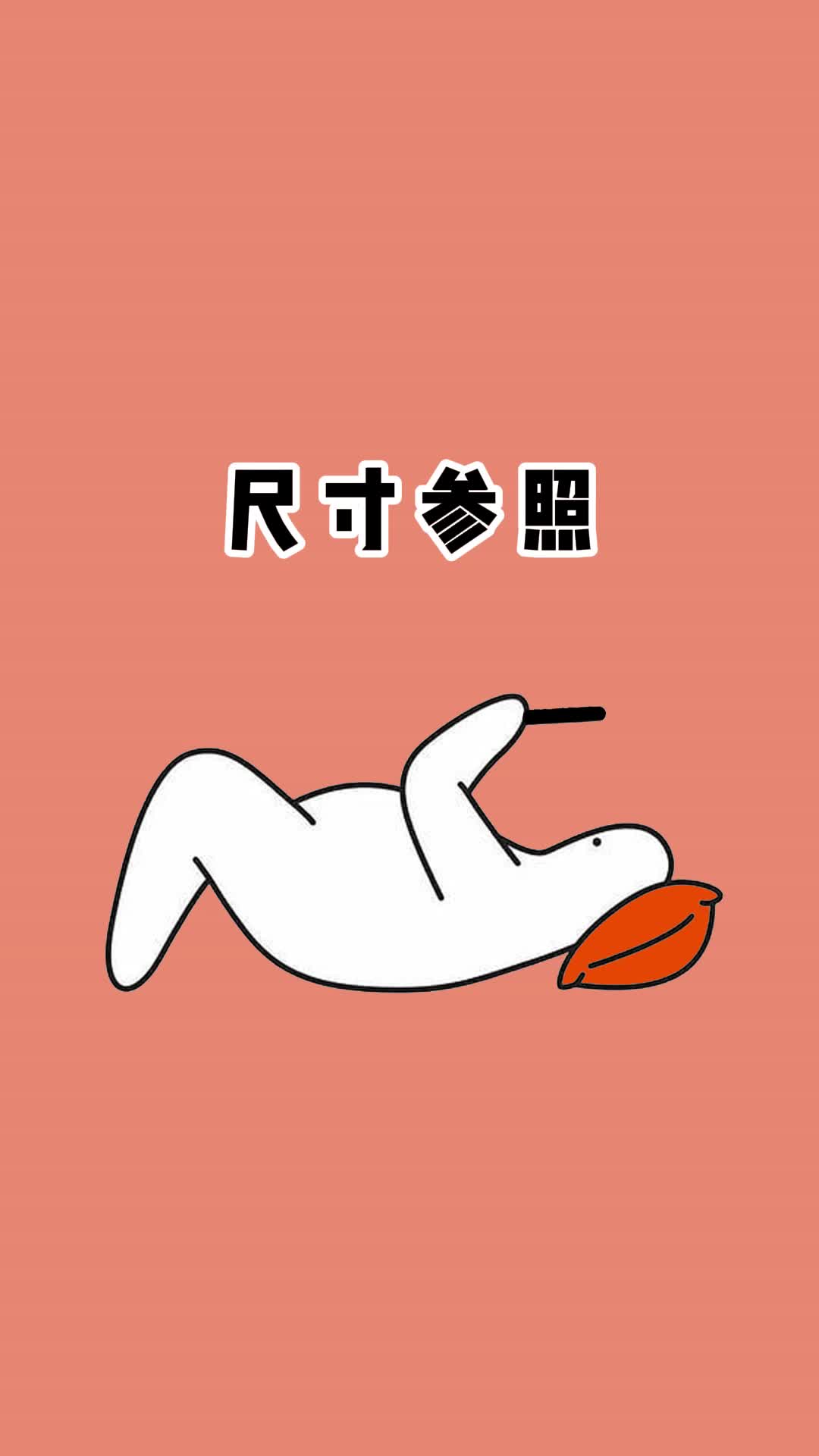 尺寸参照物哔哩哔哩bilibili