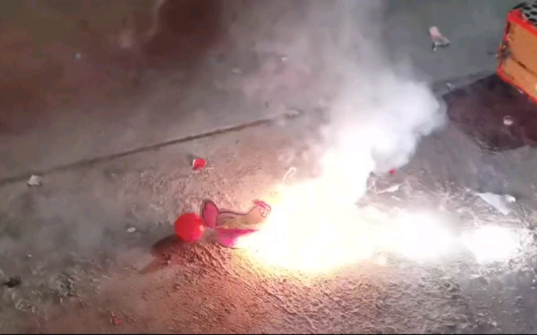 母鸡下蛋烟花好笑程度:10%;下的蛋自己缩回去好笑程度:1000%