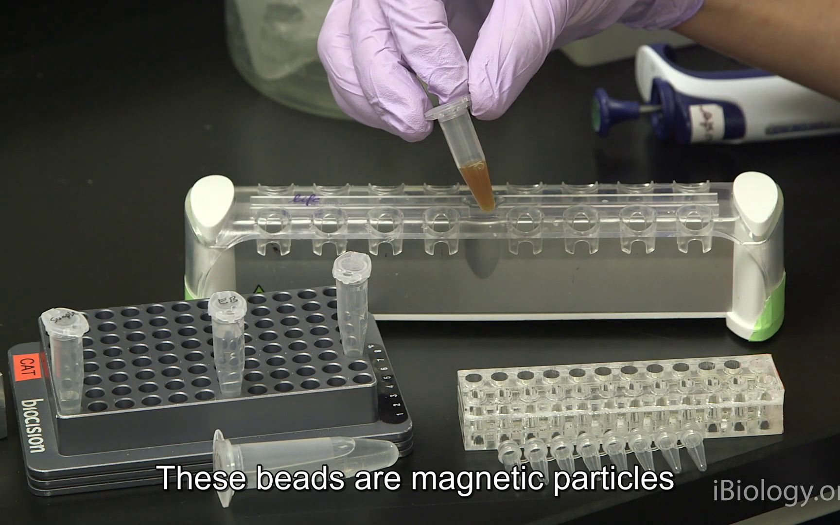 [图]Next Generation Sequencing 3- Purifying DNA Samples with Magnetic Beads - Eric C