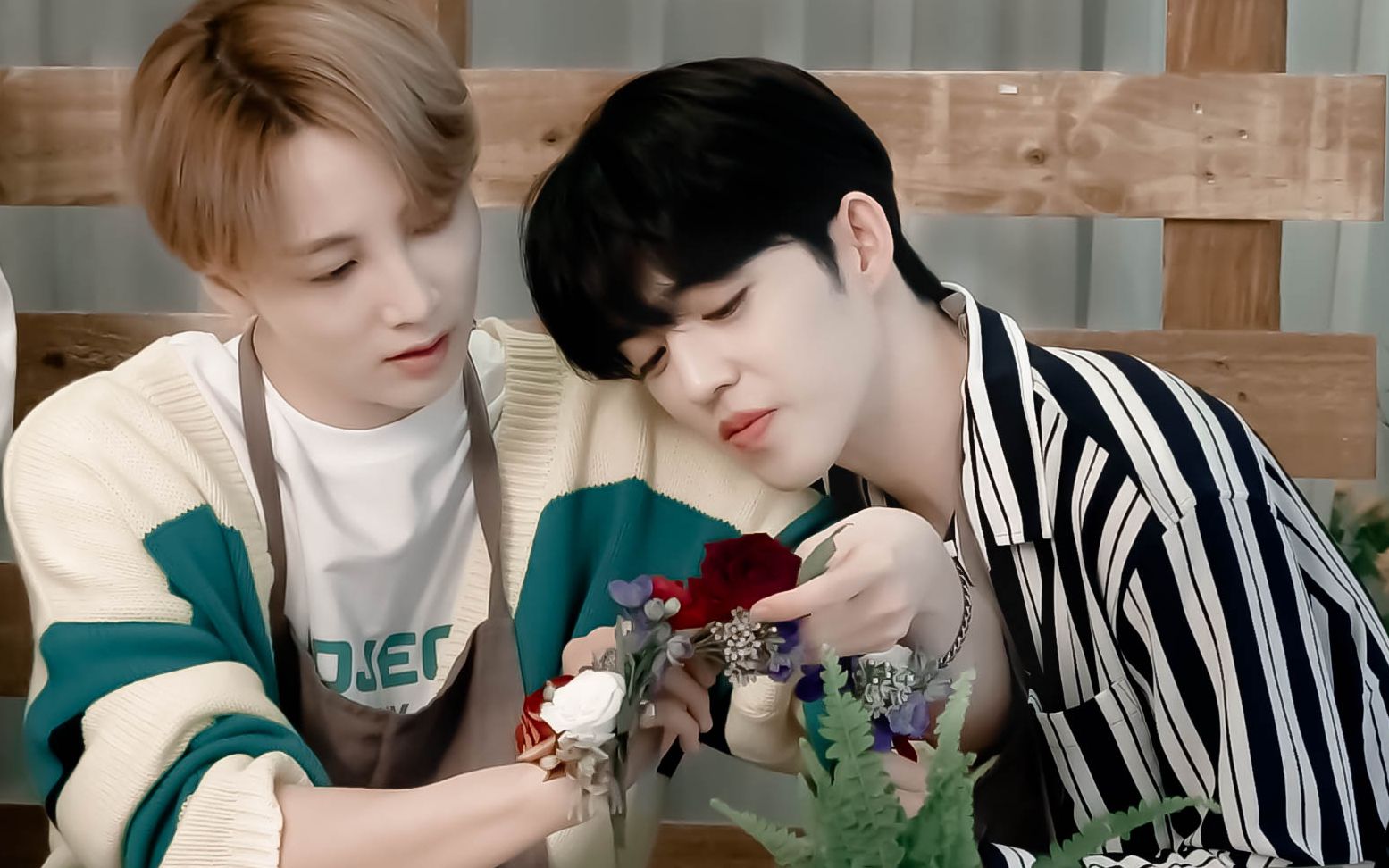 活动  【澈汉】我是只知道你的帕布