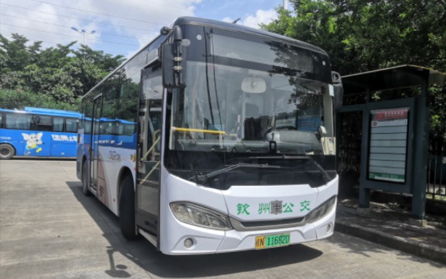 【港区一小时 客流此少】钦州公交港区3路部分区间(平山村路口