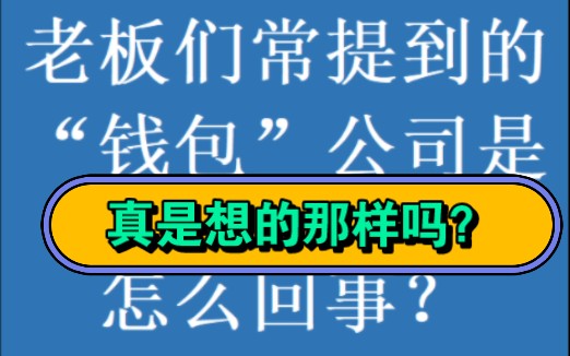 老板们常提到的“钱包”公司是怎么回事?哔哩哔哩bilibili