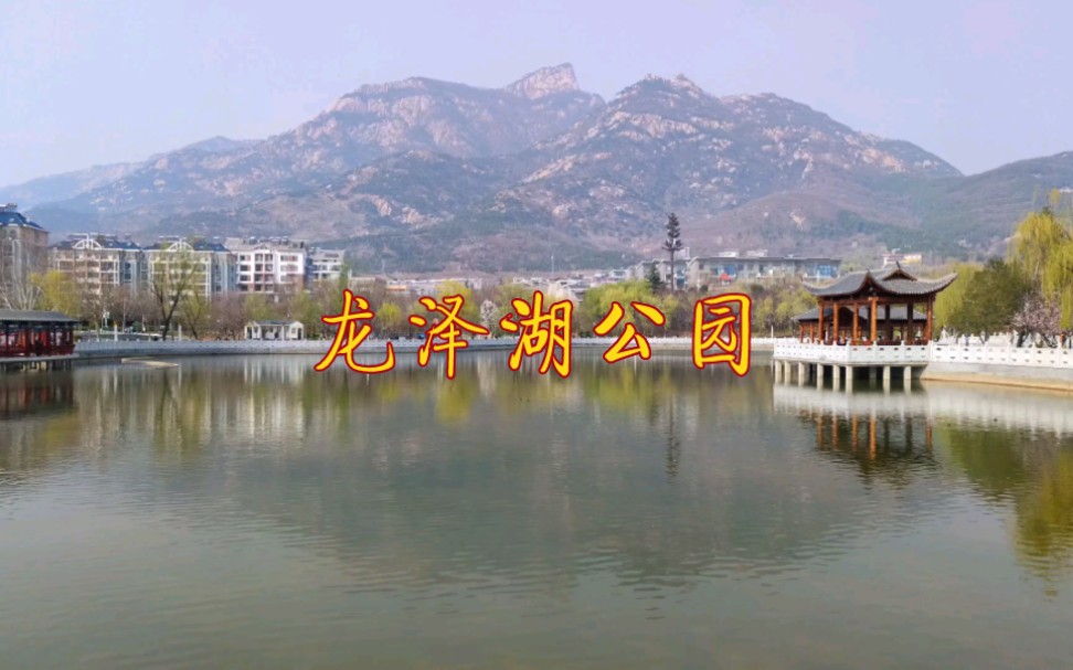 泰安龙泽湖公园图片