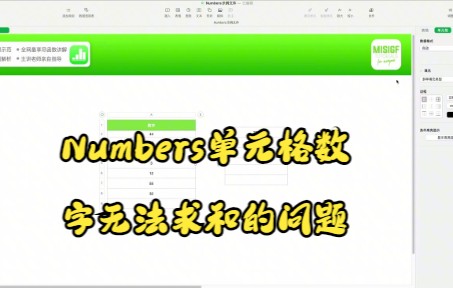 【Numbers技巧】今天教你在Numbers中利用数据格式功能解决单元格数字无法求和的问题哔哩哔哩bilibili